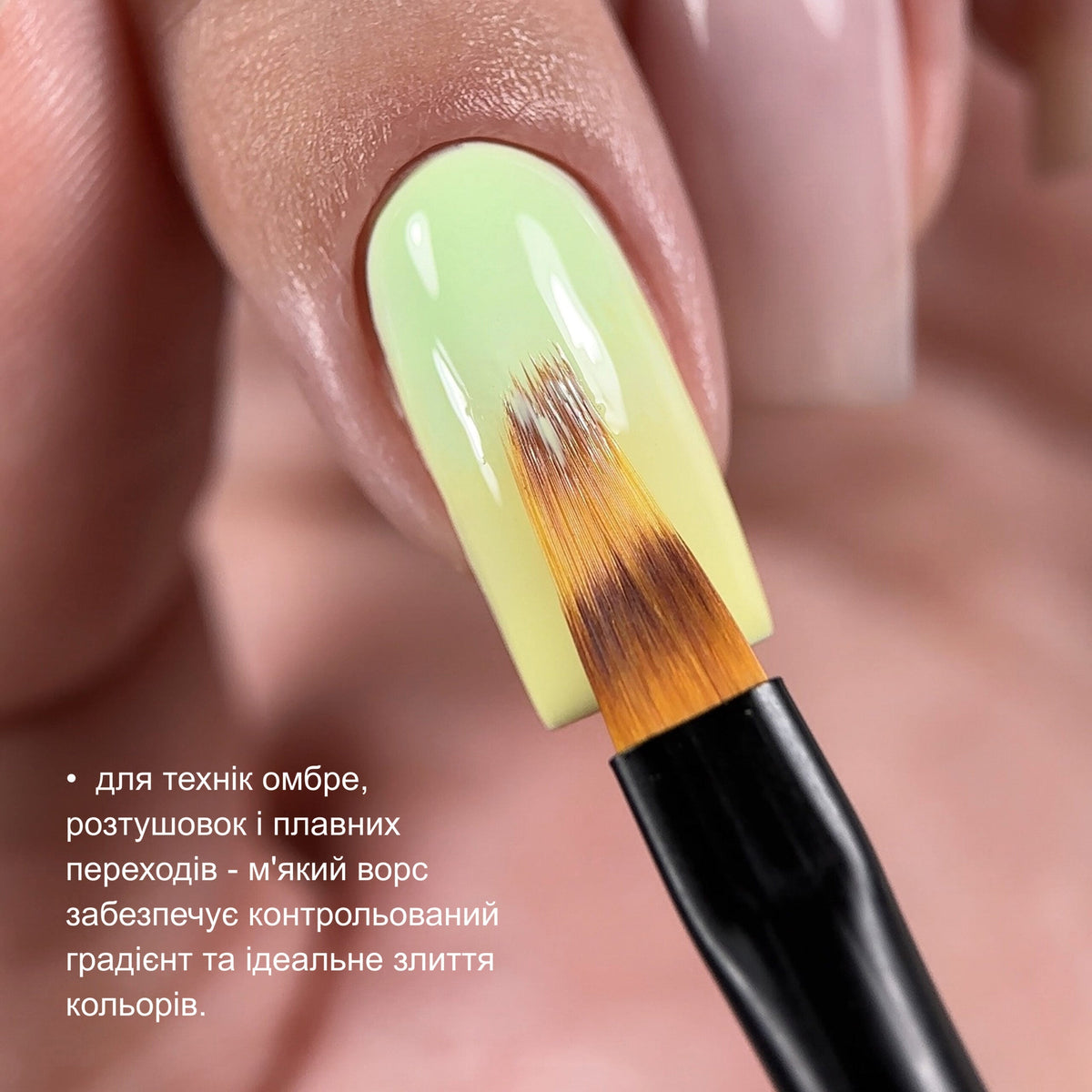 BIBLIOTEKA Pincel #ombre, 12 mm