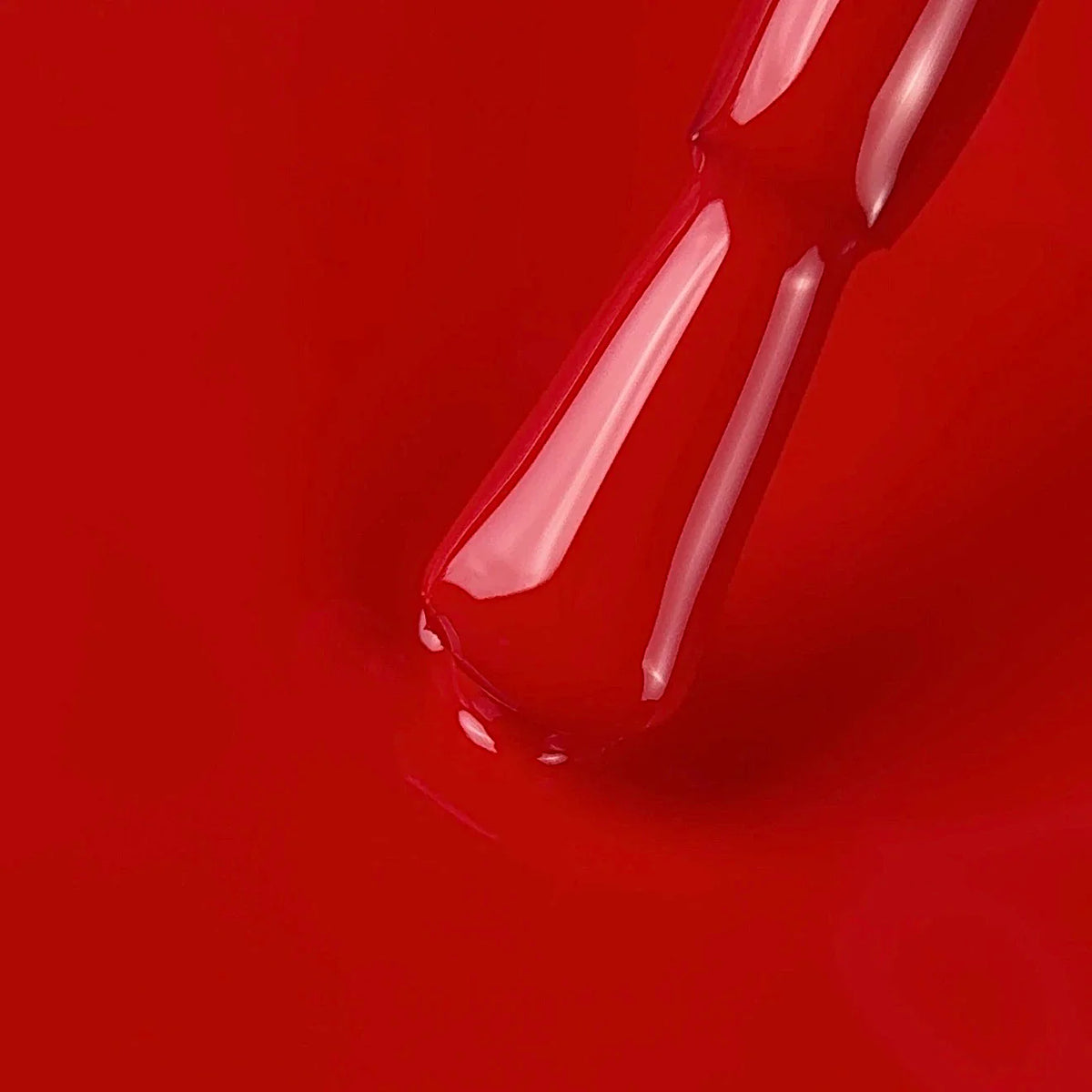 NAILSOFTHEDAY Color of the Mes Marzo 2026 Wild — rojo indomable con cobertura en una sola capa, 10 ml